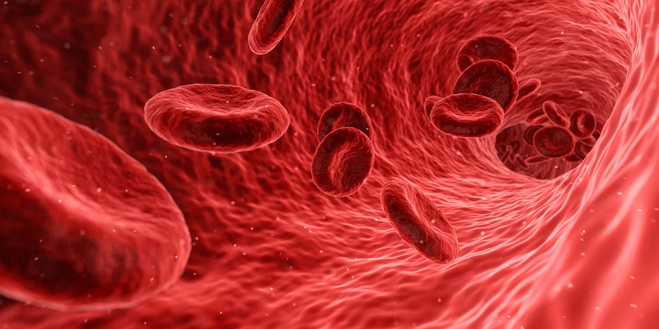 Ketogenic Metabolism Benefits Ketogenic Metabolism Benefits