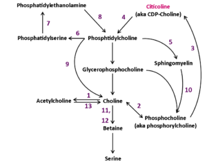 Synthesis Of Choline From Citicoline