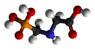 GMOs: The Science and The Controversey