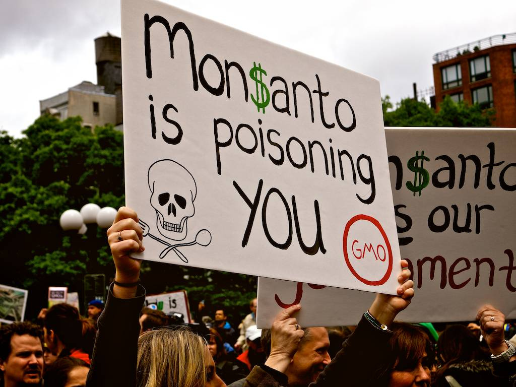 GMOs: The Science and The Controversey GMOs: The Science and The Controversey