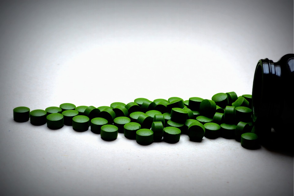 Sea Veggies: Nutrient Powerhouses!