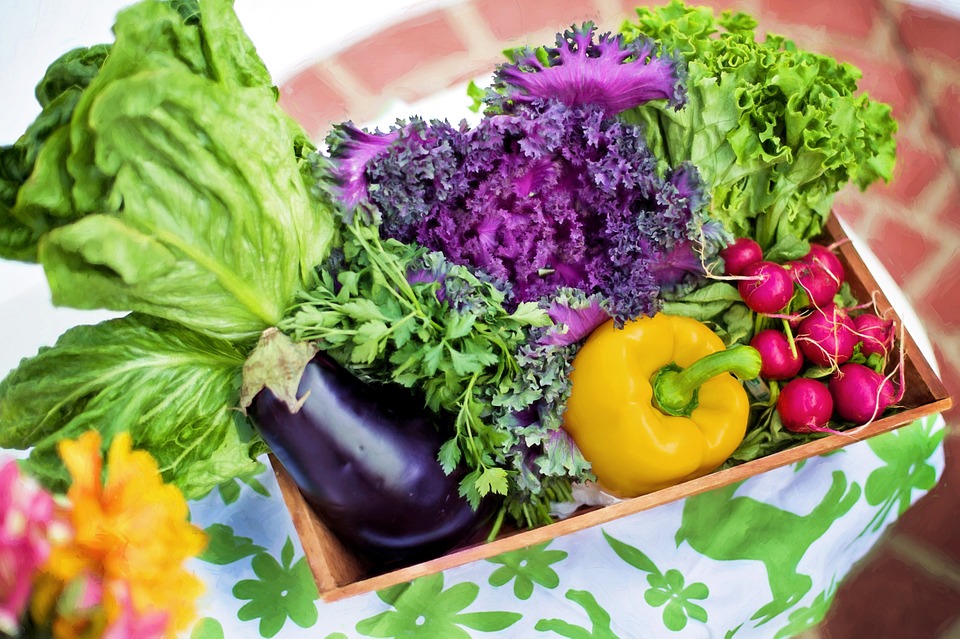 Vegetables Pretty