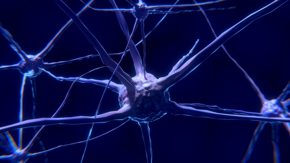 Synaptogenesis: Facilitating Plasticity