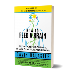 How to Feed a Brain Book (on Amazon)